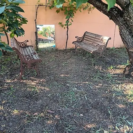 Casa Com Arte - With Swimming Pool Vermelha