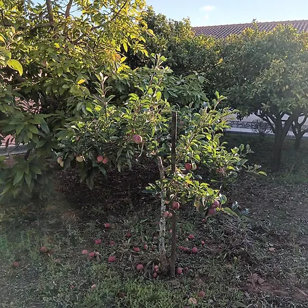 Casa Com Arte - With Swimming Pool Дом отдыха