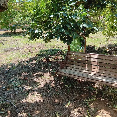 Дом отдыха Casa Com Arte - With Swimming Pool *