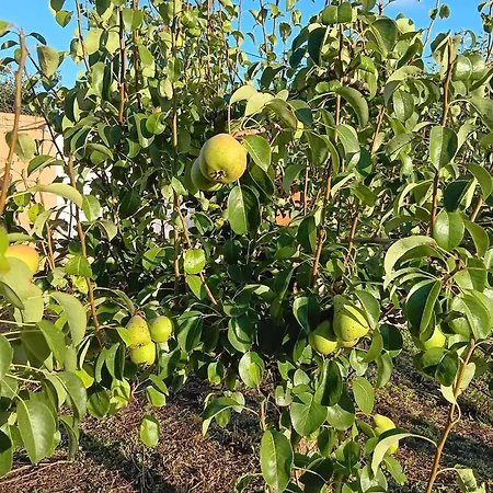 Casa Com Arte - With Swimming Pool Дом отдыха Vermelha