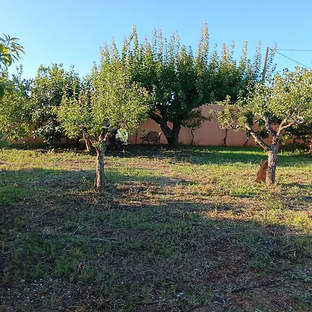 Casa Com Arte - With Swimming Pool Vermelha