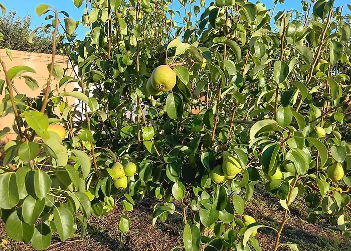 Casa Com Arte - With Swimming Pool Holiday home Vermelha